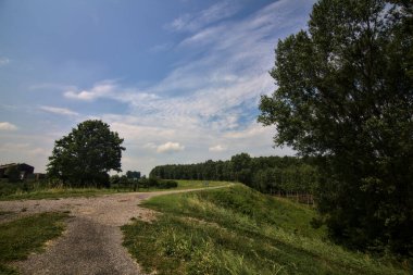 Yazın İtalya kırsalındaki tarlaların ortasındaki bir yamaçta bisiklet yolu.