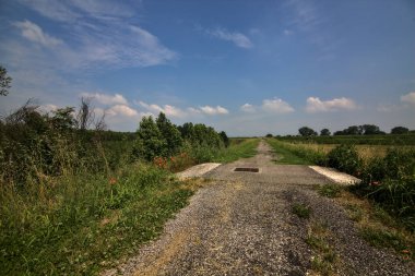Yazın İtalya kırsalındaki tarlaların ortasındaki bir yamaçta bisiklet yolu.