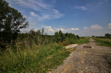 Yazın İtalya kırsalındaki tarlaların ortasındaki bir yamaçta bisiklet yolu.
