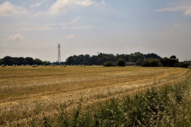 İtalya 'nın kırsal kesimlerinde, öğle vakti, uzaklarda saman balyalarıyla tehdit edilmiş.