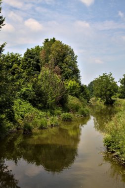 Yazın İtalya kırsalında bir korulukla çevrili su akıntısı.