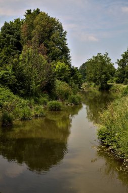 Yazın İtalya kırsalında bir korulukla çevrili su akıntısı.