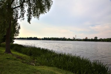 Bulutlu bir günde, gün batımında ağaçlarla çevrili bir göl.