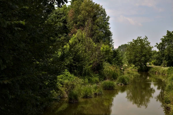 Vattenbäck Gränsar Till Lund Den Italienska Landsbygden Sommaren — Stockfoto