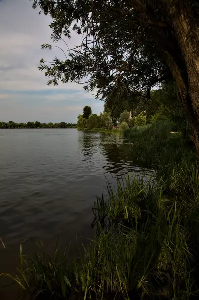 Озеро Облачный День Закате Обрамлённом Деревьями — стоковое фото