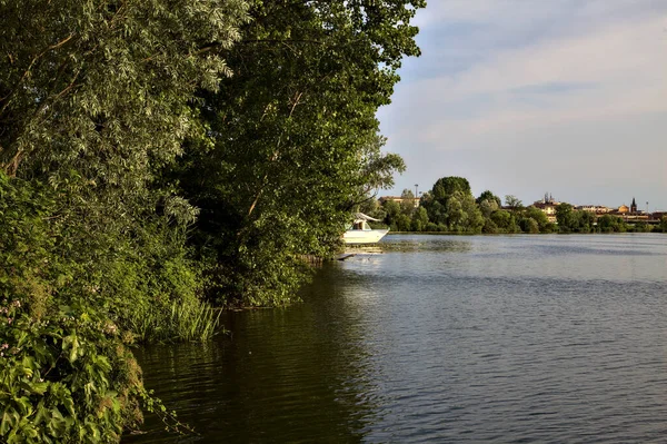 Aan Kust Van Een Meer Bij Zonsondergang Met Bomen Een — Stockfoto