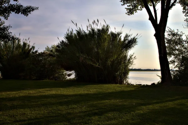 日落时湖畔有芦苇的空地 — 图库照片