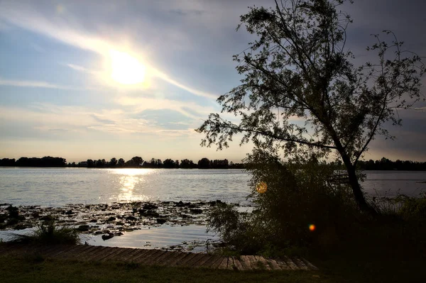 夏天日落时 湖边的树 — 图库照片