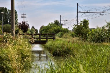 Yaz ortasında kırsal kesimde bir su deresinin üzerindeki tahta köprü.