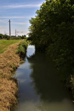 Yazın İtalya kırsalında ağaçlarla çevrili su akıntısı