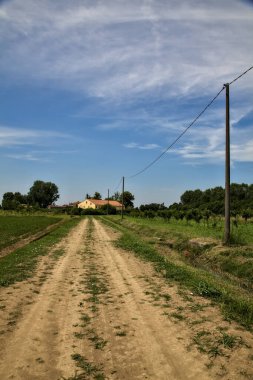 Yazın İtalya 'nın kırsalında bir tarlanın ortasındaki toprak yol.