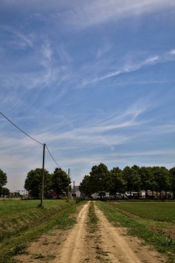 Yazın İtalya 'nın kırsalında bir tarlanın ortasındaki toprak yol.