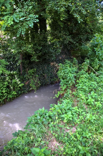 Потік Води Тіні Захованому Деревами — стокове фото