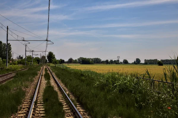 Percorsi Ferroviari Con Campi Margini Della Campagna Italiana Mezzogiorno Estate — Foto Stock