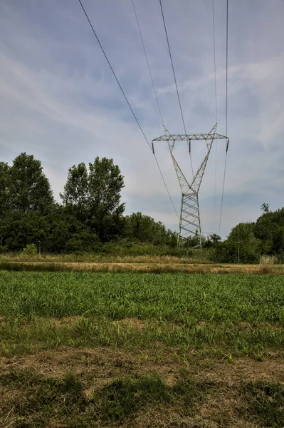 Elektricitet Pylon Ett Fält Den Italienska Landsbygden Sommaren — Stockfoto