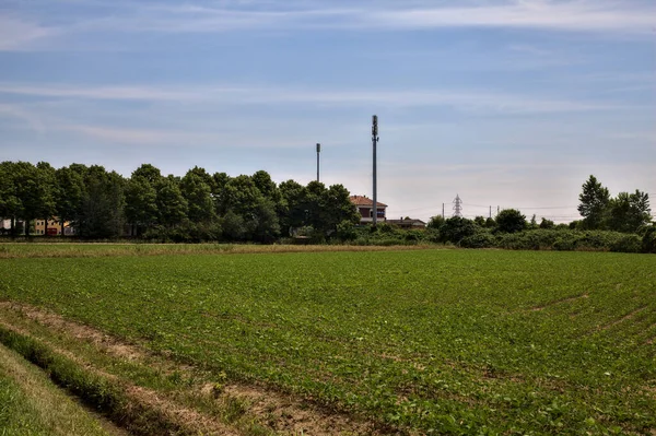 Elektricitet Pylon Ett Fält Den Italienska Landsbygden Sommaren — Stockfoto