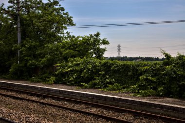 Yaz ortasında İtalya kırsalında, kenarlarında tarlalar olan demiryolu rayları.