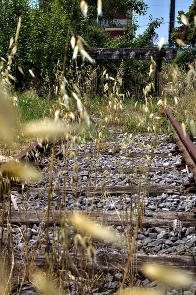 Doodlopende Weg Een Station Het Italiaanse Platteland Middag Zomer — Stockfoto