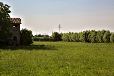 Yazın gün batımında bir kır evinin yanındaki ekilmemiş tarla.