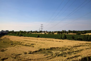 Mısır ve buğday tarlaları ve elektrik direği yazın günbatımında kırsalda.