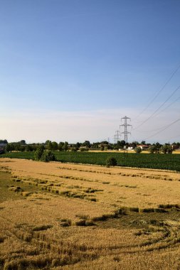 Mısır ve buğday tarlaları ve elektrik direği yazın günbatımında kırsalda.