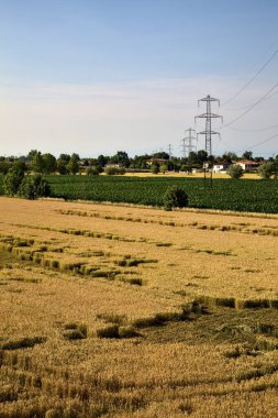 Mısır ve buğday tarlaları ve elektrik direği yazın günbatımında kırsalda.