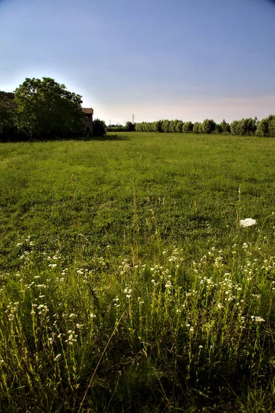 Campo Não Cultivado Lado Uma Casa Campo Pôr Sol Verão — Fotografia de Stock