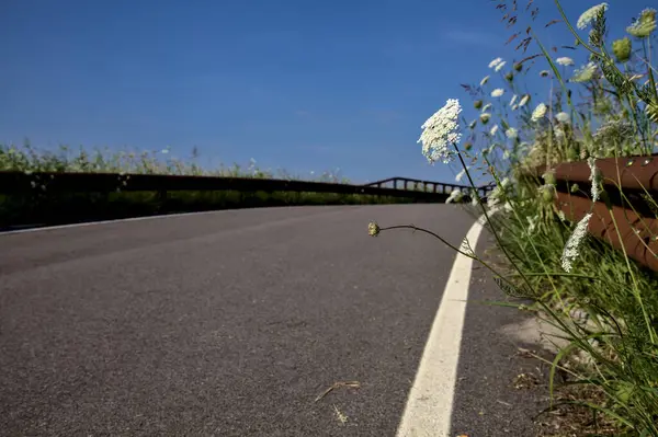 Passaggio Elevato Una Pista Ciclabile Nella Campagna Italiana Tramonto Estate — Foto Stock