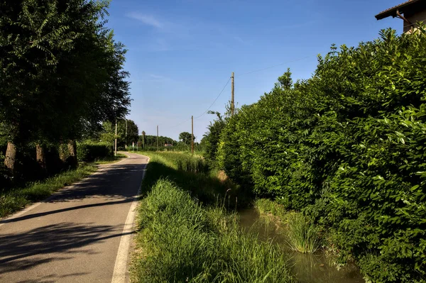 Cesta Venkově Uprostřed Skupiny Venkovského Domu Při Západu Slunce Létě — Stock fotografie