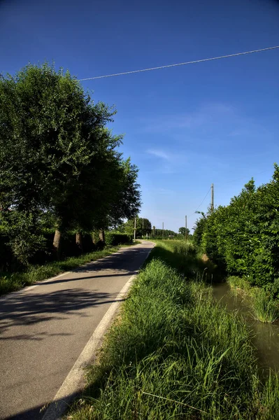 夏の日没時にカントリーハウスのグループの真ん中の田舎の道路 — ストック写真