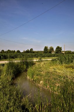 Yazın gün batımında kırsal bölgelerdeki tarlalar arasındaki su akıntısı