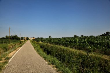 Tarlalı köy yolu ve yaz sonunda günbatımında terk edilmiş bir malikane.