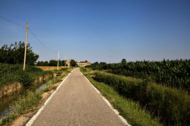Kenarında su akıntısı olan bir yol ve yazın günbatımında İtalya kırsalında yanındaki tarlalar.