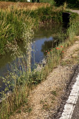 Kenarında su akıntısı olan bir yol ve yazın günbatımında İtalya kırsalında yanındaki tarlalar.