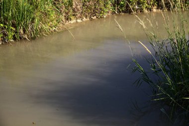 Yazın gün batımında kırsalda akıntılarla çevrili su akıntısı.