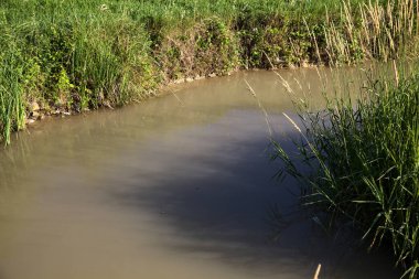 Yazın gün batımında kırsalda akıntılarla çevrili su akıntısı.