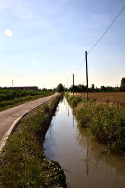 Kenarında su akıntısı olan bir yol ve yazın günbatımında İtalya kırsalında yanındaki tarlalar.