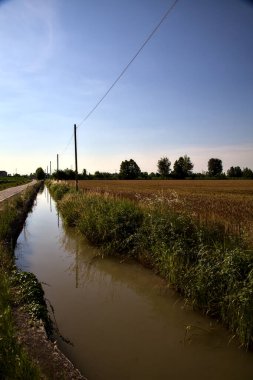 Kenarında su akıntısı olan bir yol ve yazın günbatımında İtalya kırsalında yanındaki tarlalar.