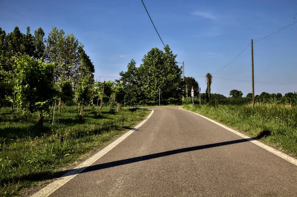 Forcella Una Piccola Strada Campagna Delimitata Campi Tramonto Estate — Foto Stock