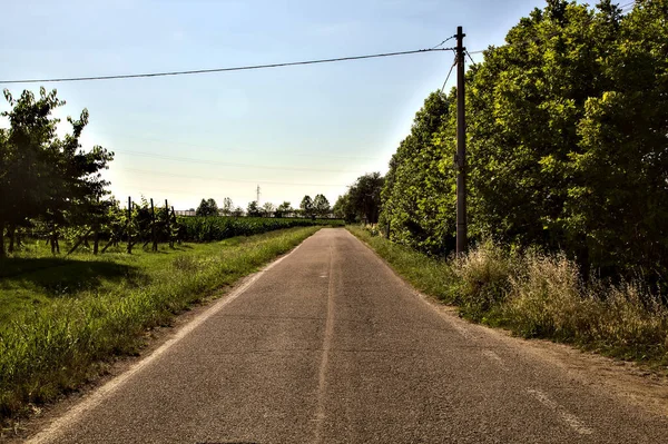 Strada Delimitata Campi Nella Campagna Italiana Estate Tramonto — Foto Stock