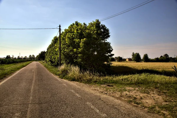 Дорога Межує Полями Сільській Місцевості Італії Влітку Заході Сонця — стокове фото