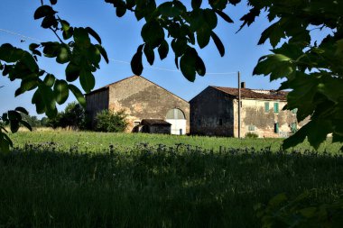 Yazın gün batımında terk edilmiş bir evde.