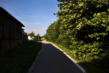 Yazın gün batımında bir kır evi ile ağaçların arasındaki gölgede.