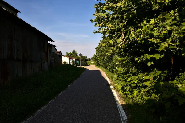 Camino Sombra Entre Una Hilera Árboles Una Casa Campo Verano — Foto de Stock