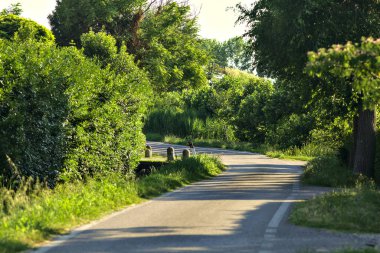 Yazın gün batımında kırsal kesimde bir grup kır evinin ortasında.
