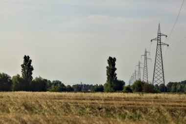 Yazın günbatımında elektrik direkleriyle buğday tarlası