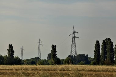 Yazın günbatımında elektrik direkleriyle buğday tarlası