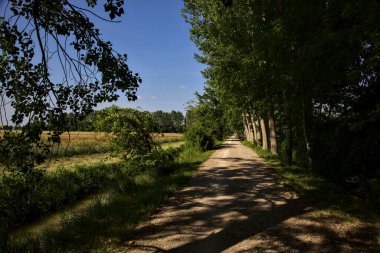 Yazın gün batımında İtalya kırsalında bir tarlanın yanındaki ağaçlarla çevrili bir korulukta çakıl yolu.