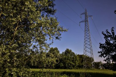 Açık bir alanın ortasında elektrik direği yazın günbatımında İtalya kırsalında ağaçlarla çevrili.