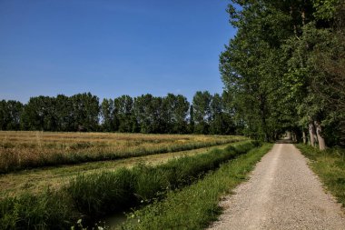 Yazın gün batımında İtalya kırsalında bir tarlanın yanındaki ağaçlarla çevrili bir korulukta çakıl yolu.